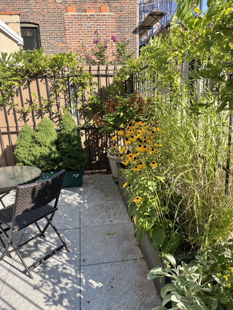 Patio Garden - Londono Gardens